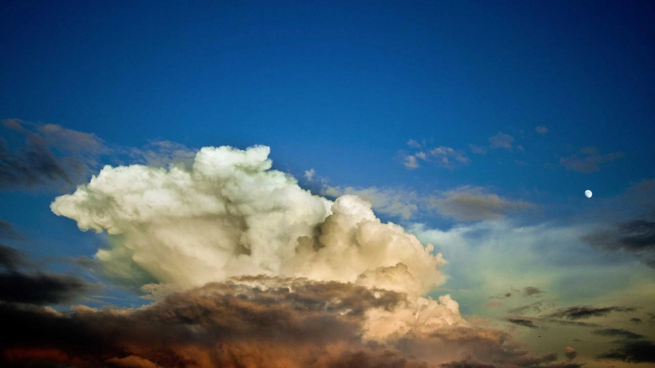 Acenta Yönetim Paneli: İşinizi Dijitalleştirmenin ve Büyütmenin Anahtarı