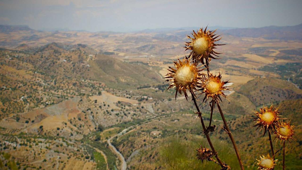 Turizm Sektöründe Son Dakika Gelişmeleri: Yenilikler ve Geleceğe Yönelik Fırsatlar